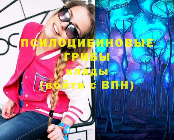 шишки Липки